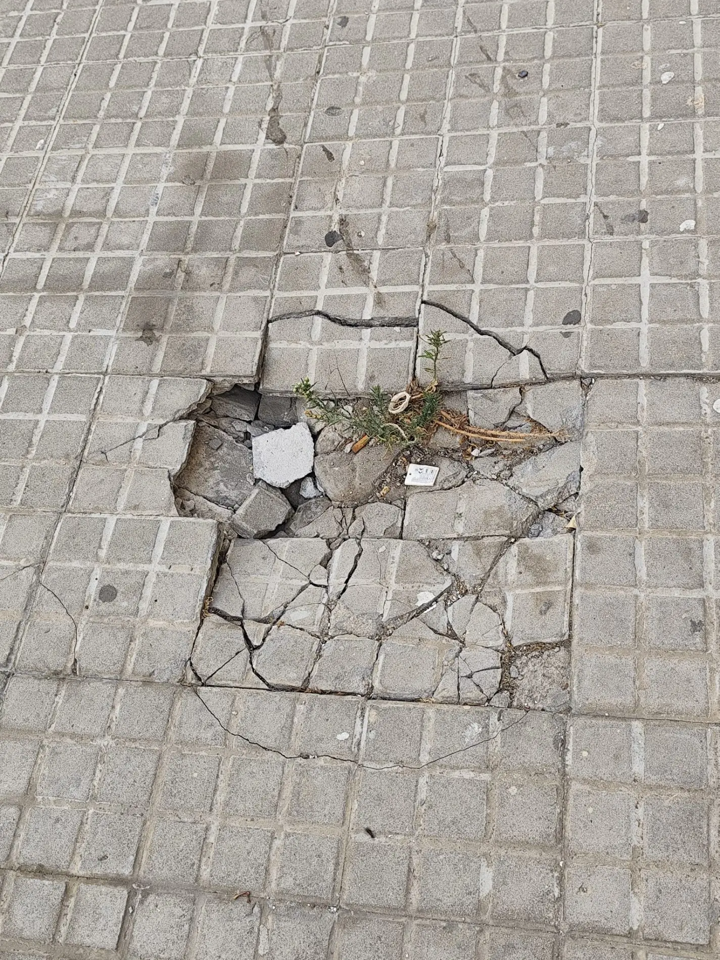 Fotografía de la incidencia MD-2026-000015: Claro ejemplo de nuestra "Ciudad amable", por supuesto si somos capaces de ir esquivando …