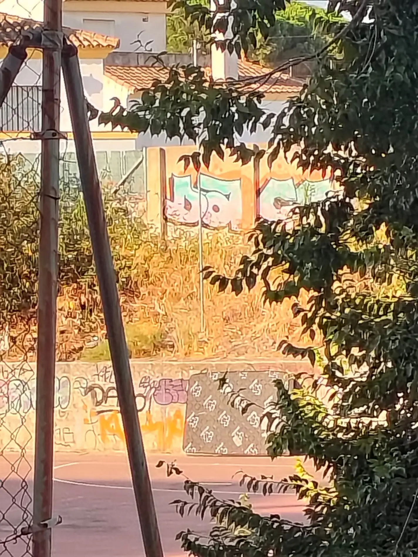 Fotografía de la incidencia MD-2026-000005: Vandalismo constante en pista deportiva de la Bda. San Diego: 20 años y 3.000 llamadas de…