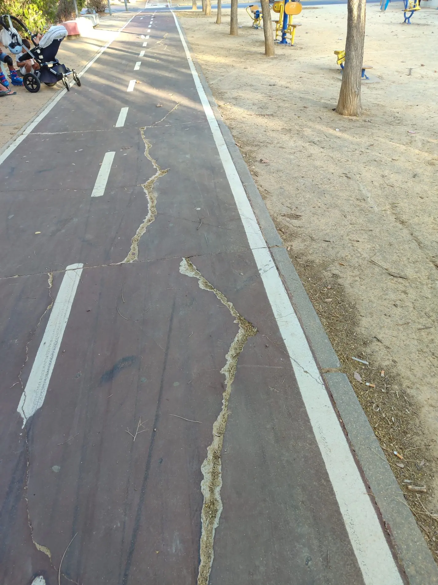 Fotografía de la incidencia MD-2026-000023: En este estado se encuentra prácticamente la totalidad del carril bici del Paseo de las P…