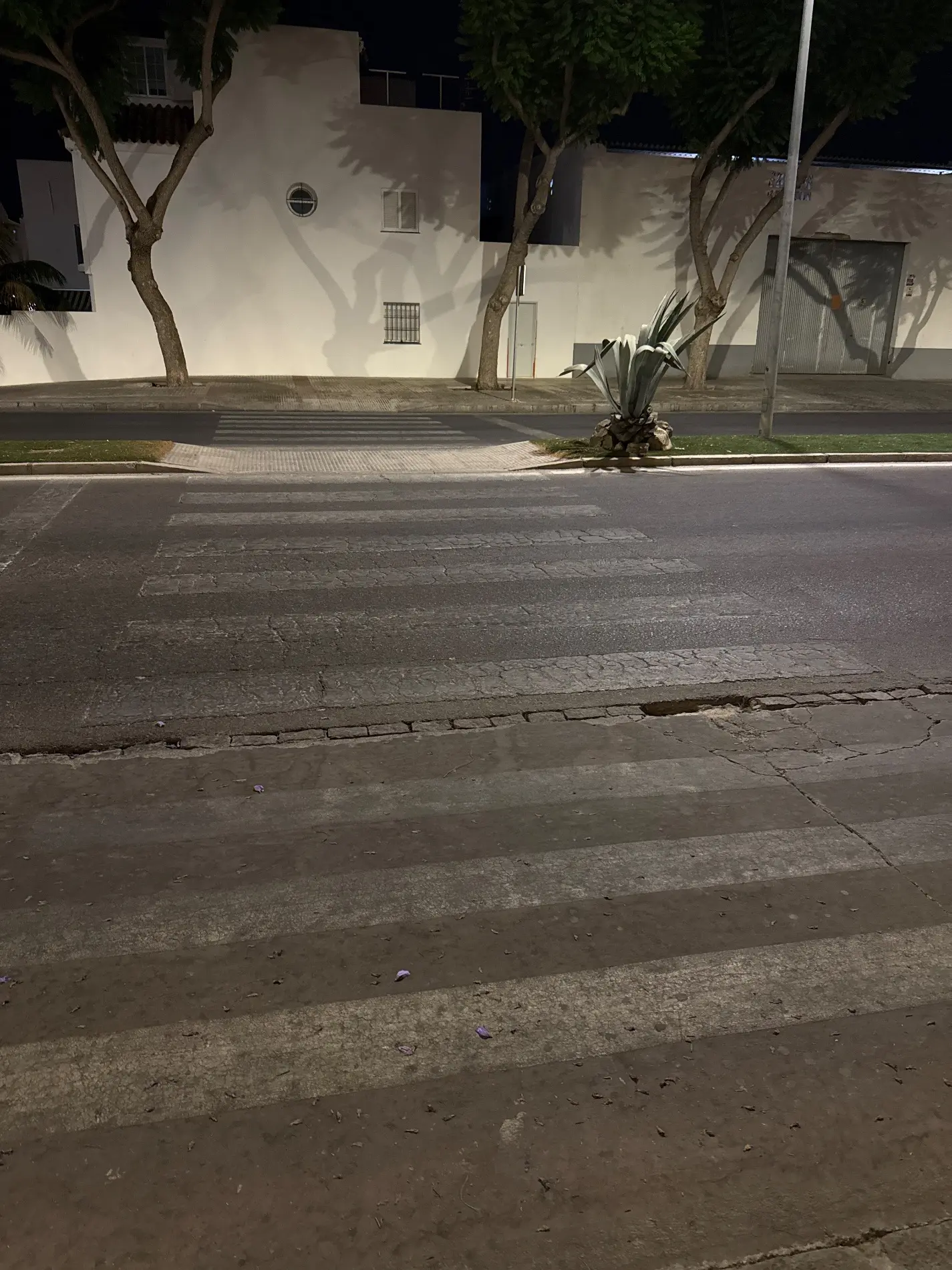 Fotografía de la incidencia MD-2026-000002: Los pasos de peatones son inexistentes