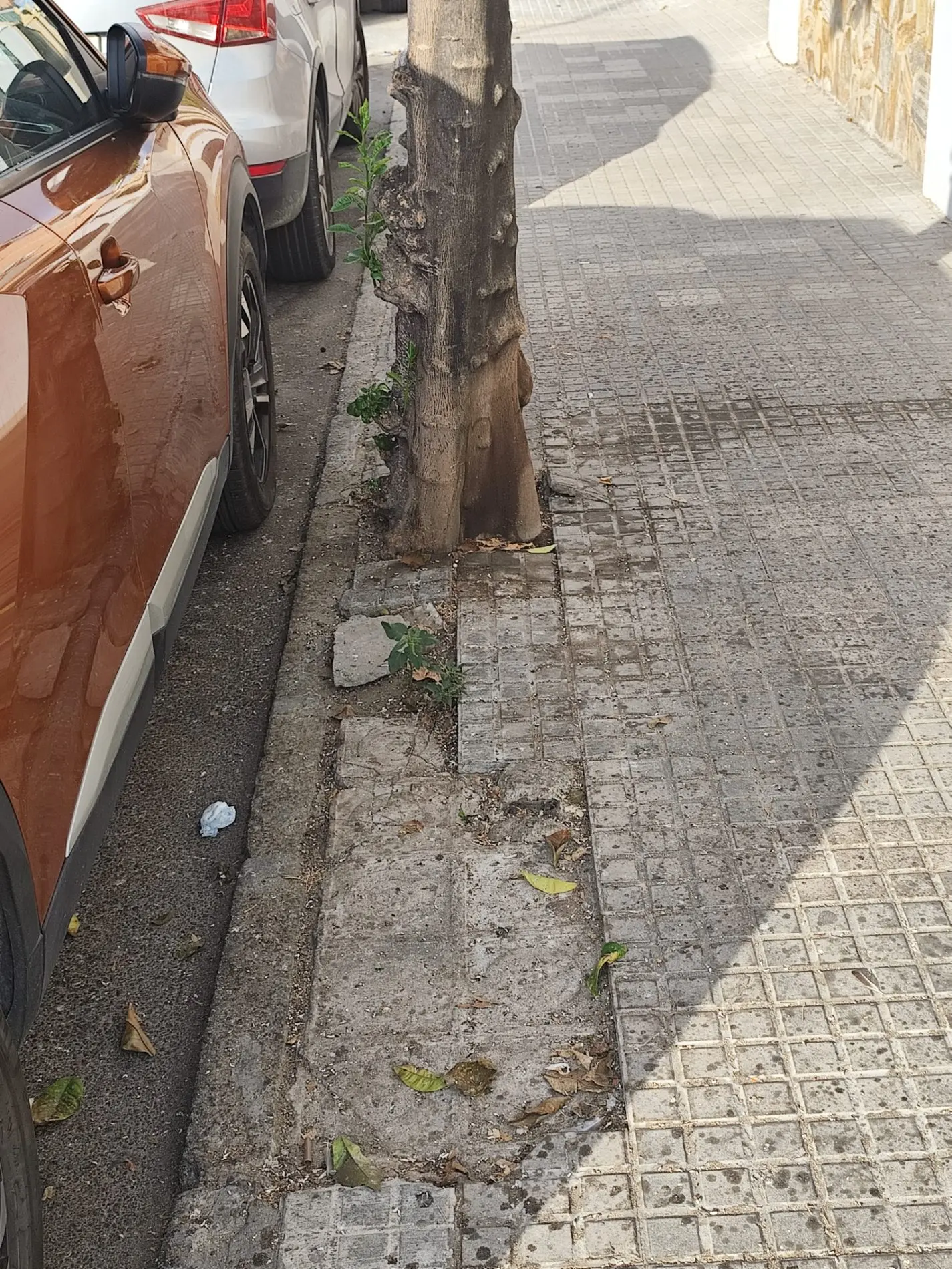 Fotografía de la incidencia MD-2026-000014: No hay memoria para recordar desde cuándo faltan baldosas en los acerados de nuestra ciud…