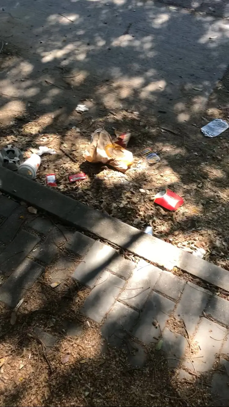 Fotografía de la incidencia: Lleva más de un año sin limpiarse la calle y sin arreglar el acerado y las farolas