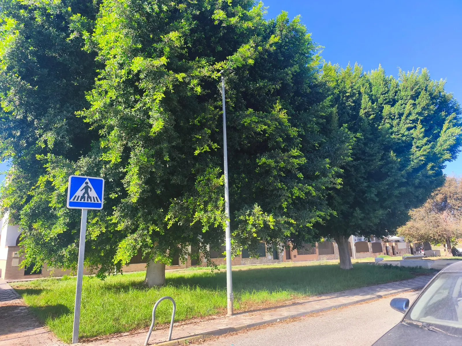 Fotografía de la incidencia: Esta es la situación de una plazoleta que está literalmente pegada a nuestras casas. Dos …