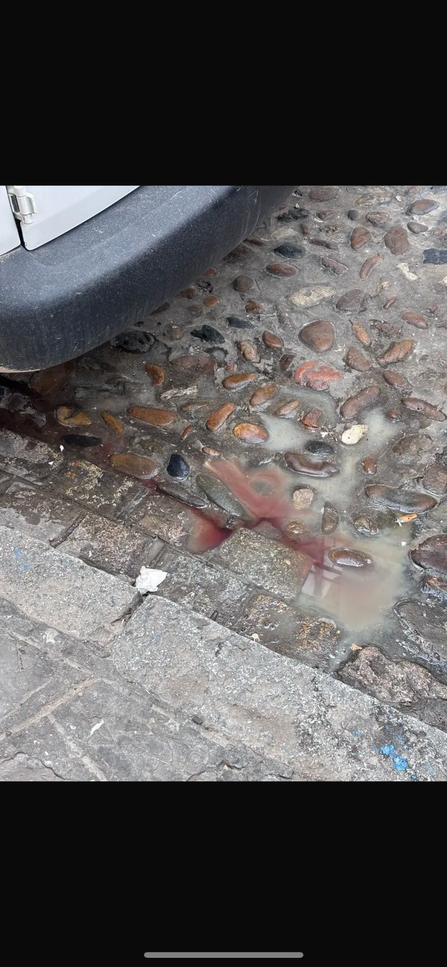 Fotografía de la incidencia: Insalubridad por la falta de limpieza diaria en la calle Bretones tras la descarga de pes…