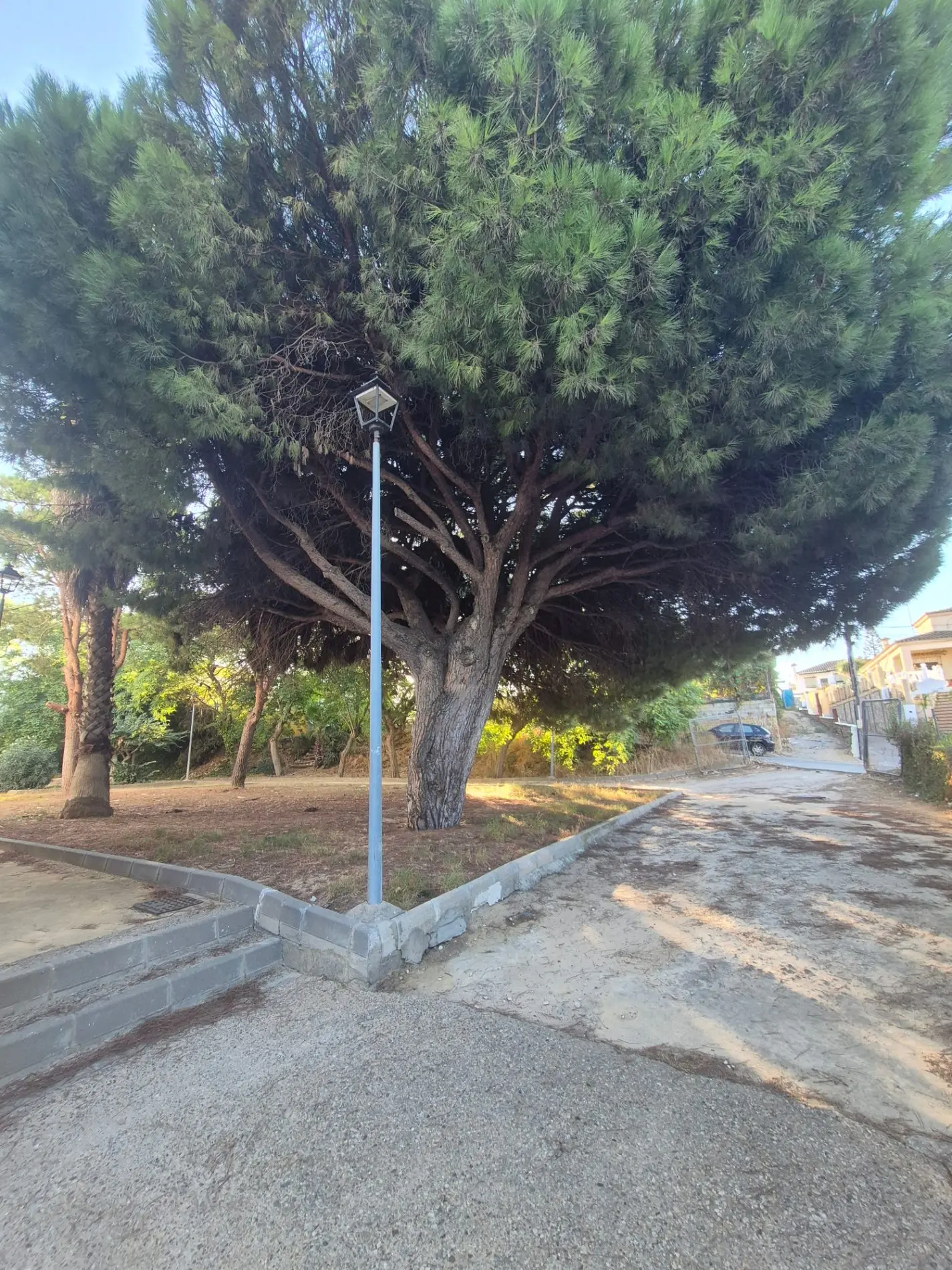 Fotografía de la incidencia: Llevamos los vecinos 22 años manteniendo estos jardines con un coste de 30.000 euros y no…