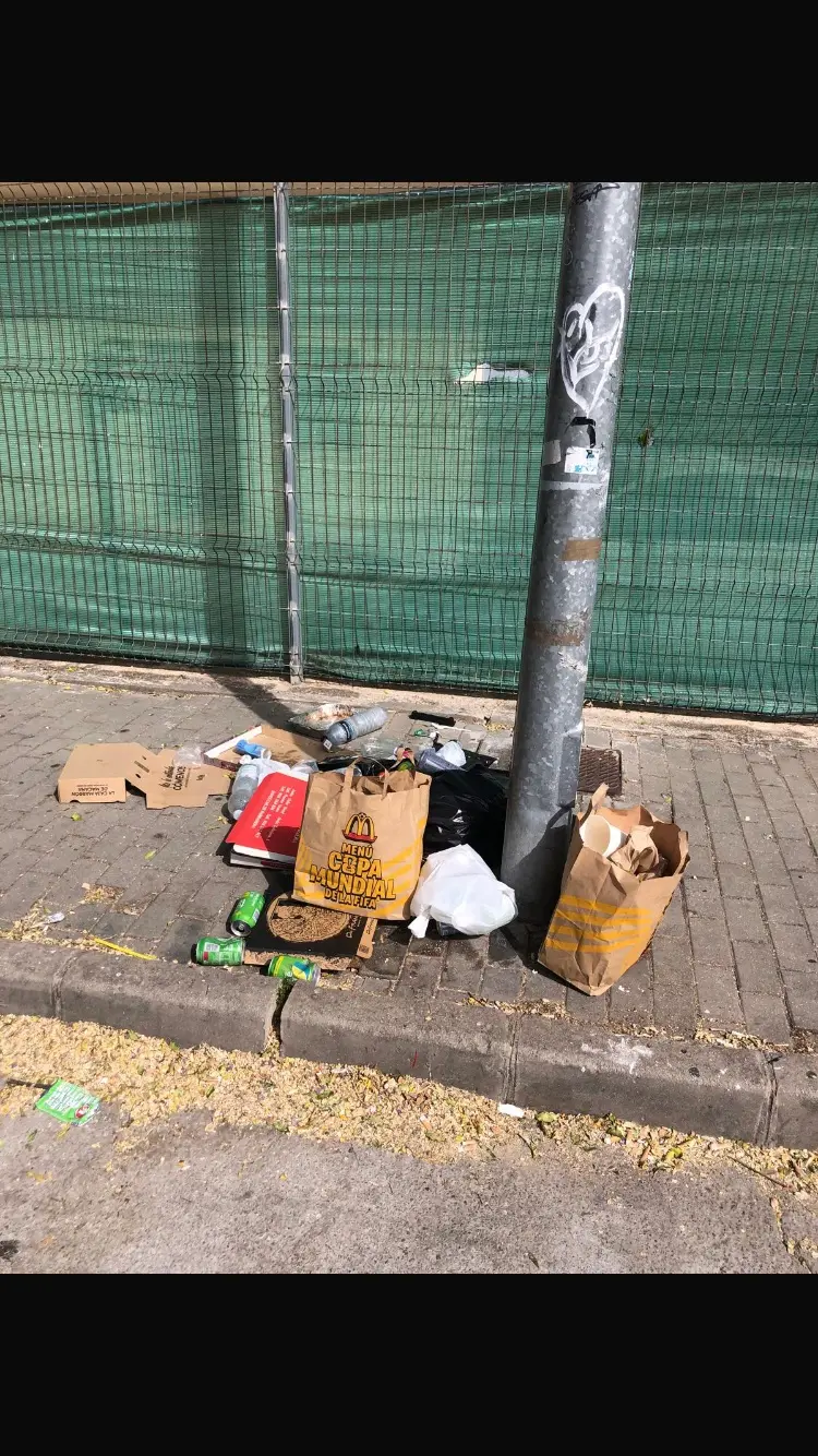 Fotografía de la incidencia: Todos los días niñatos tirando basura en toda la avenida