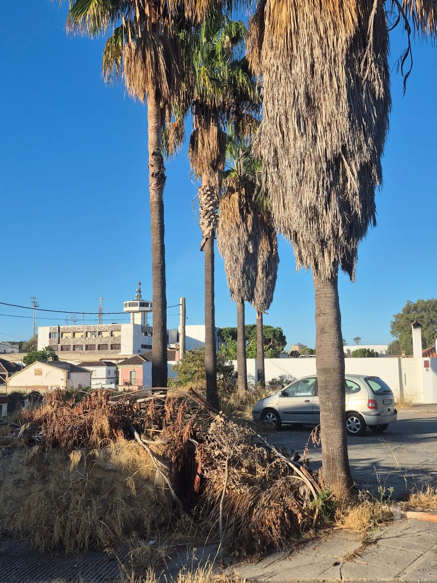 Fotografía de la incidencia: Llevamos los vecinos 22 años manteniendo estos jardines con un coste de 30.000 euros y no…