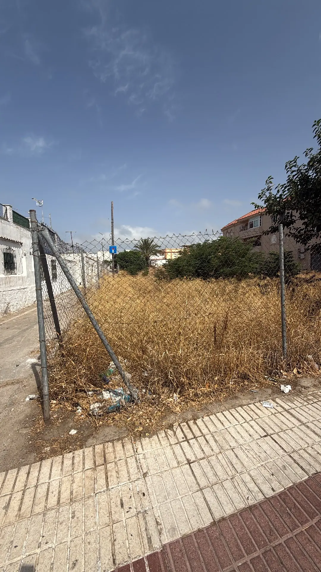 Fotografía de la incidencia: Peligro de incendio, ratas y bichos. Los vecinos que viven alrededor son personas mayores…