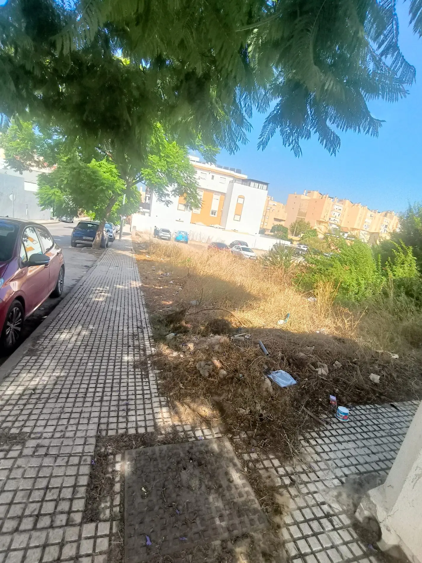 Fotografía de la incidencia: Tenemos un solar municipal destinado a viviendas y sin embargo lo tienen abandonado, llen…