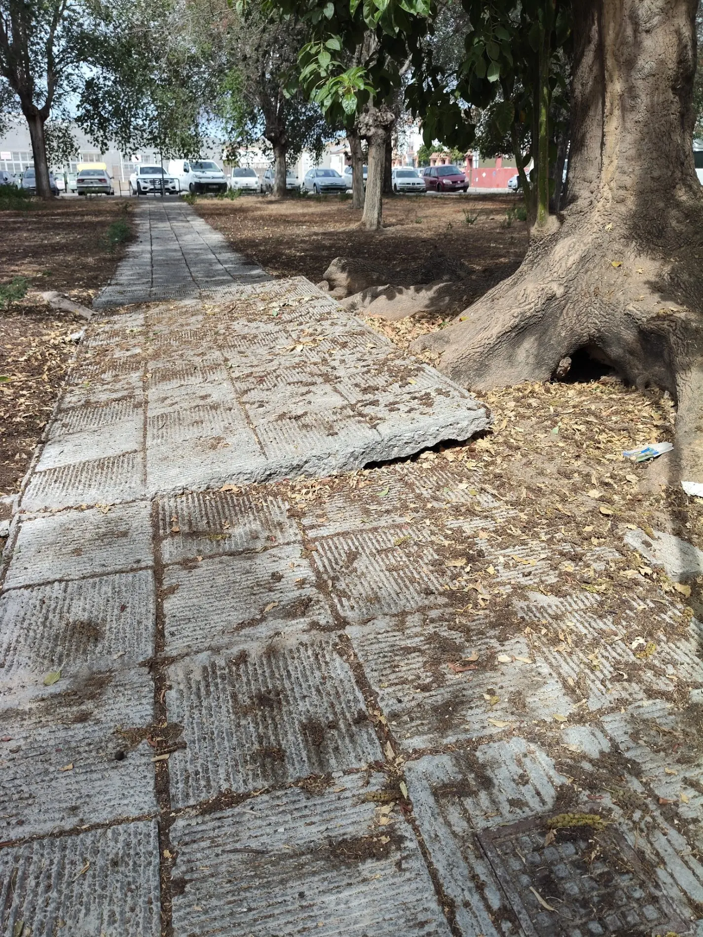 Fotografía de la incidencia: Parque abandonado y suelos levantados en pésimo estado de conservación y mantenimiento.