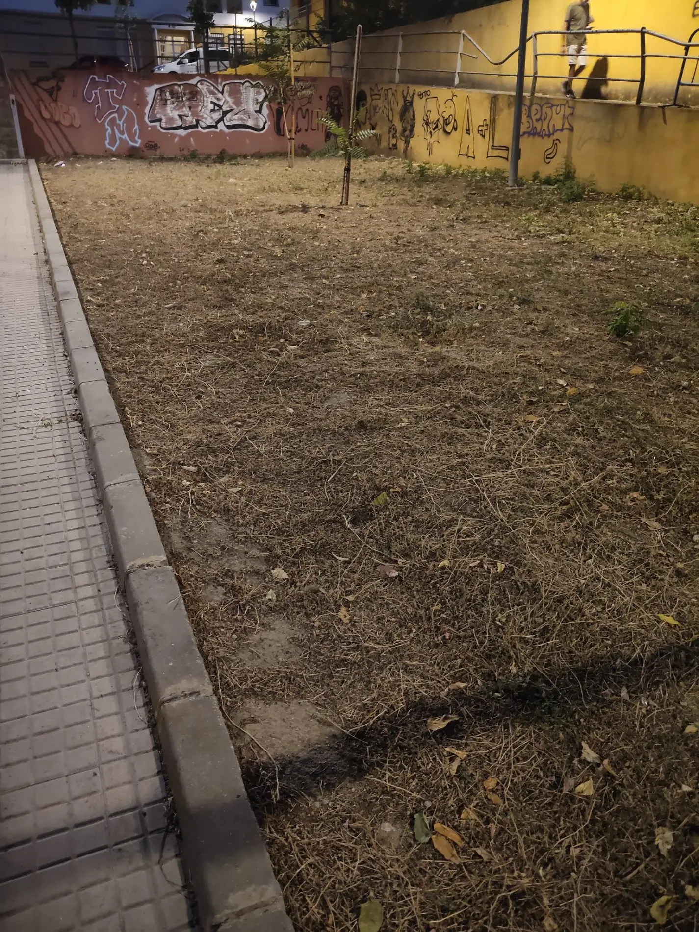 Fotografía de la incidencia: Jardín abandonado y seco