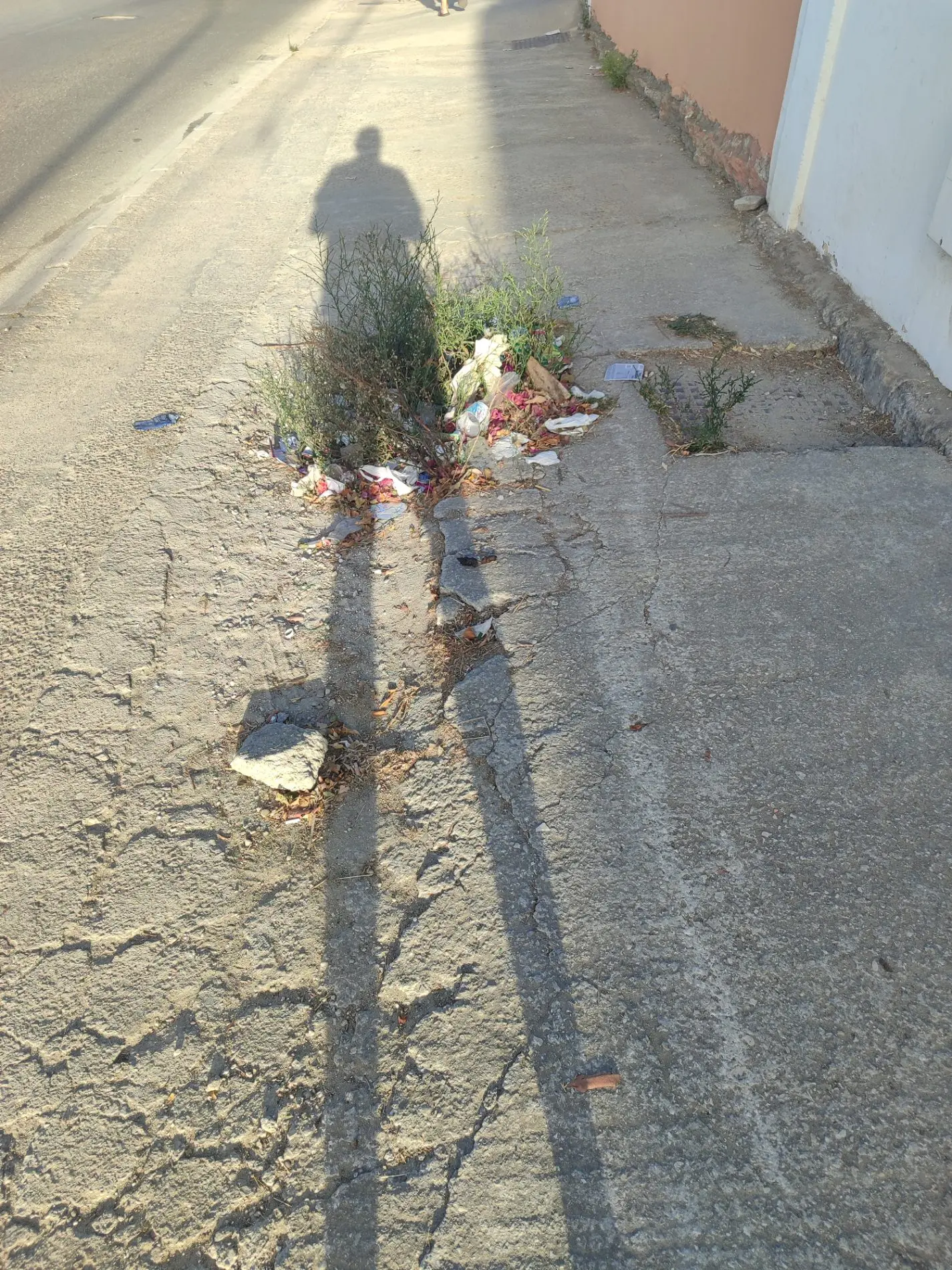 Fotografía de la incidencia: Todo el acerado del Camino Sevilla está lleno de basura, falta de contenedores, papelera,…
