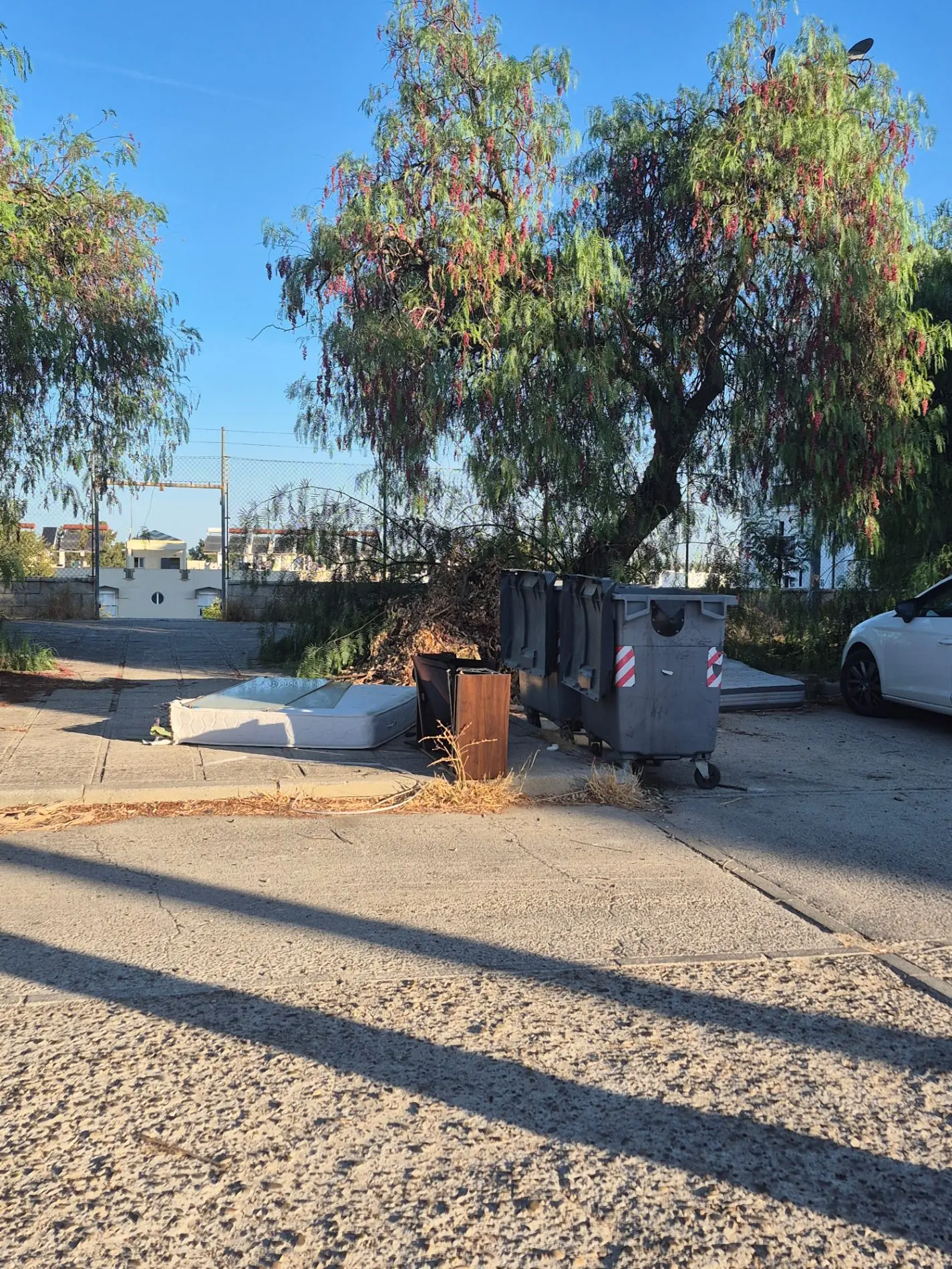 Fotografía de la incidencia: Llevamos los vecinos 22 años manteniendo estos jardines con un coste de 30.000 euros y no…