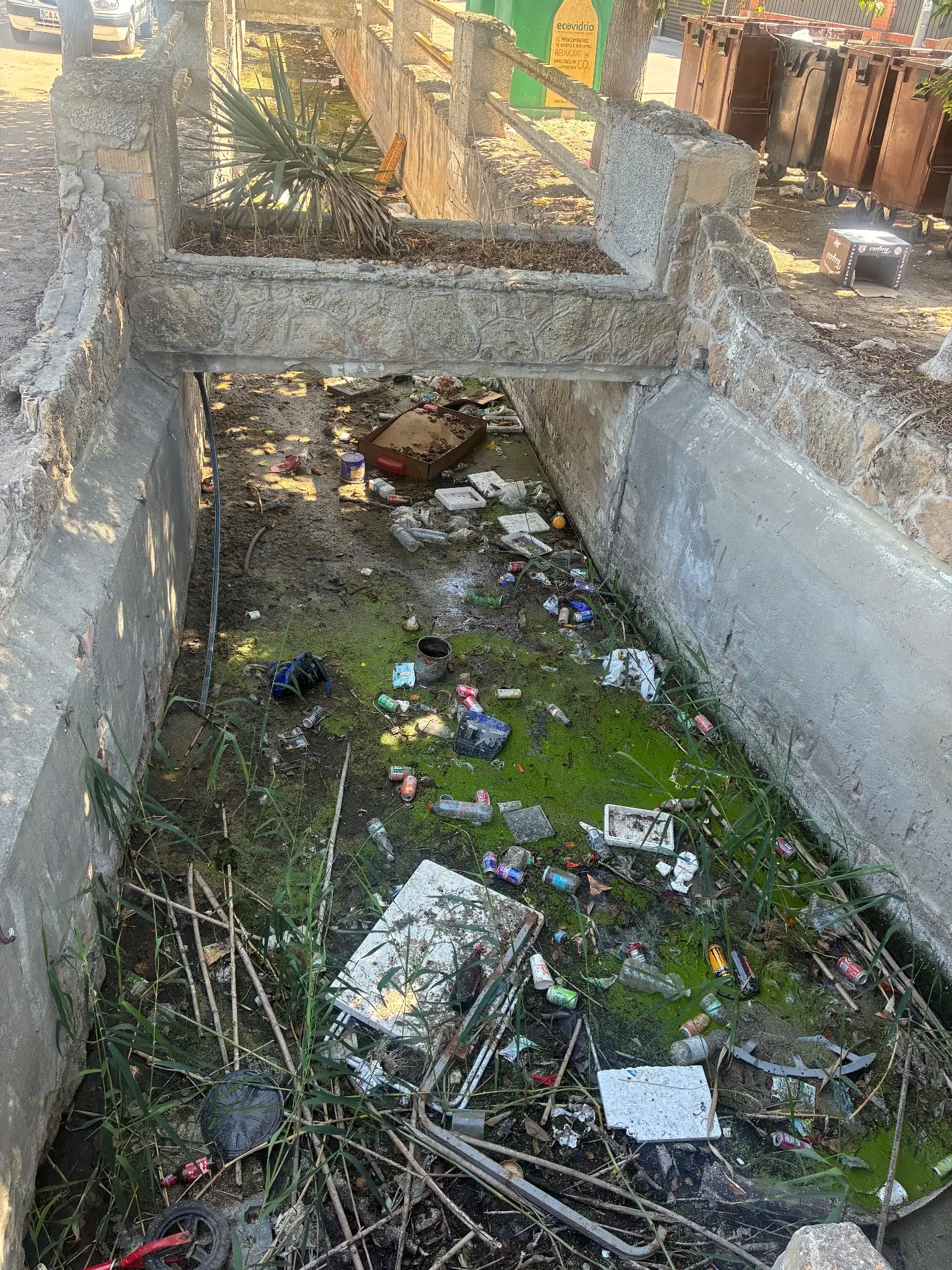 Fotografía de la incidencia MD-2026-000029: Una vergüenza por parte del ayuntamiento y por parte de los incívicos habitantes de la zo…