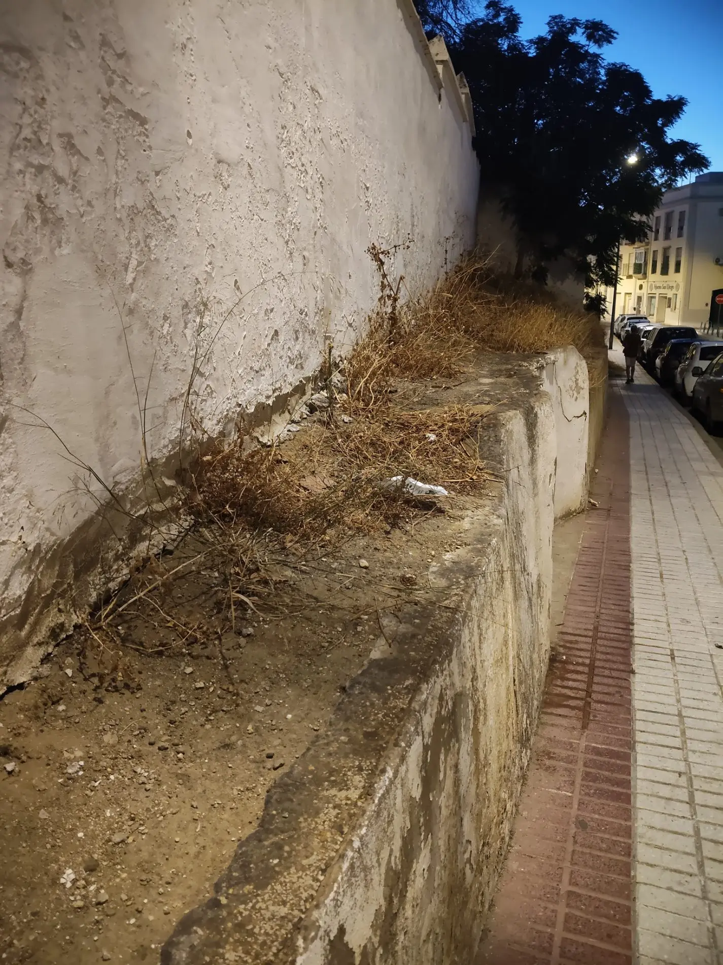 Fotografía de la incidencia: Zona de arriate seca por abandono y falta de cuidado y riego.