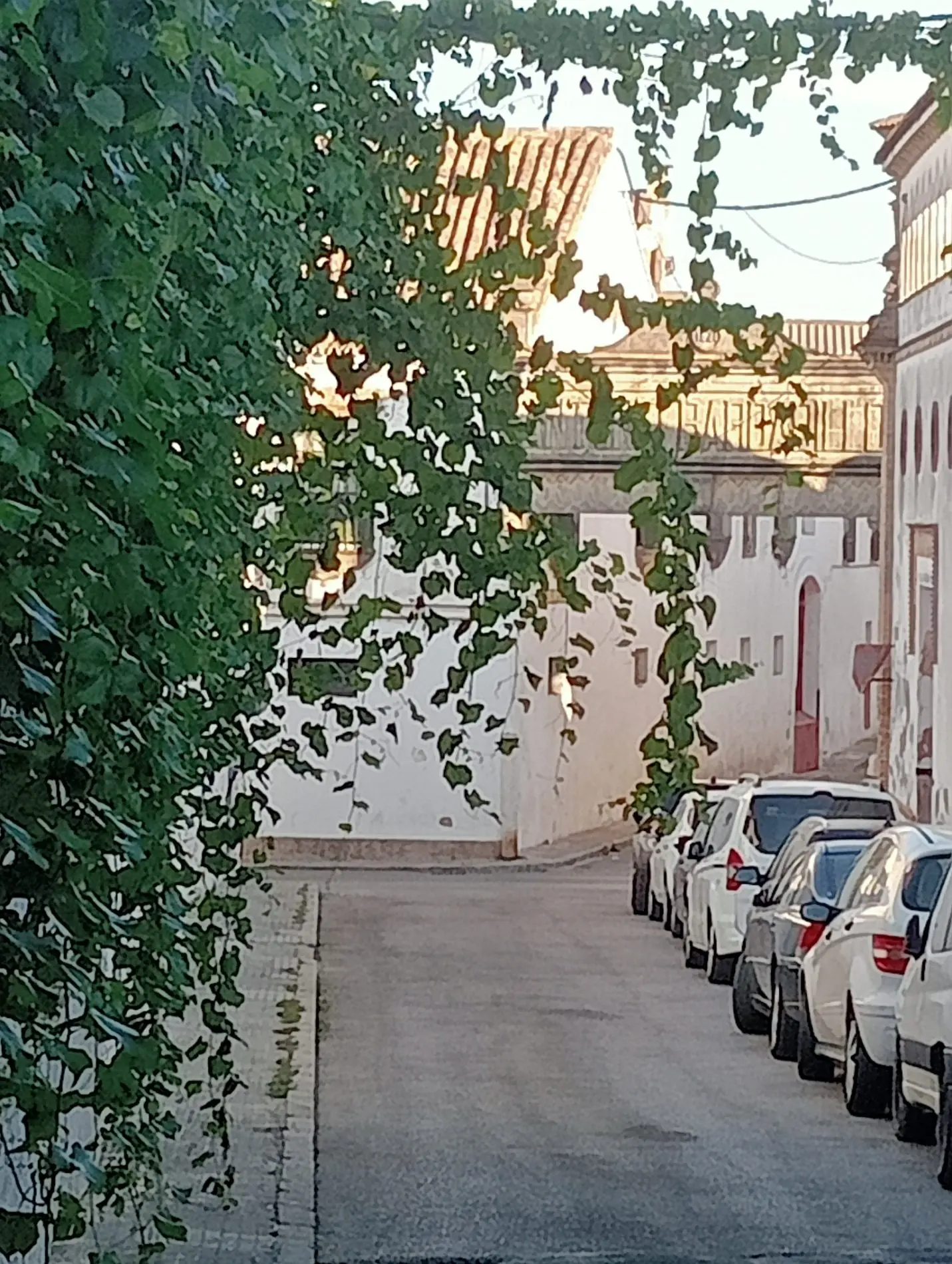 Fotografía de la incidencia: Parra de la bodega en la calle Cuartel, no se puede pasar por la acera y los coches rozan…