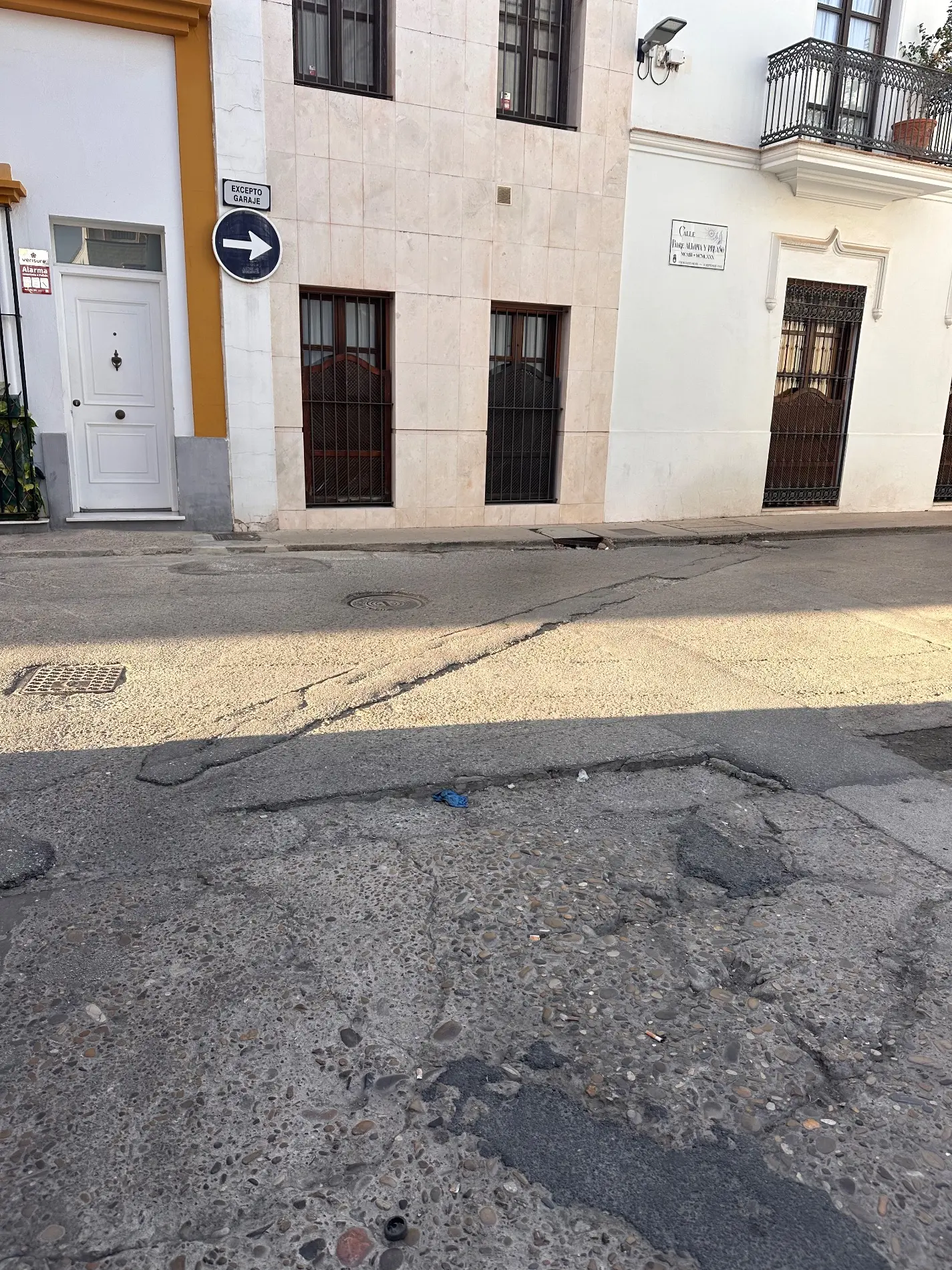 Fotografía de la incidencia: Lleva meses con baches enormes y con el acerado en mal estado