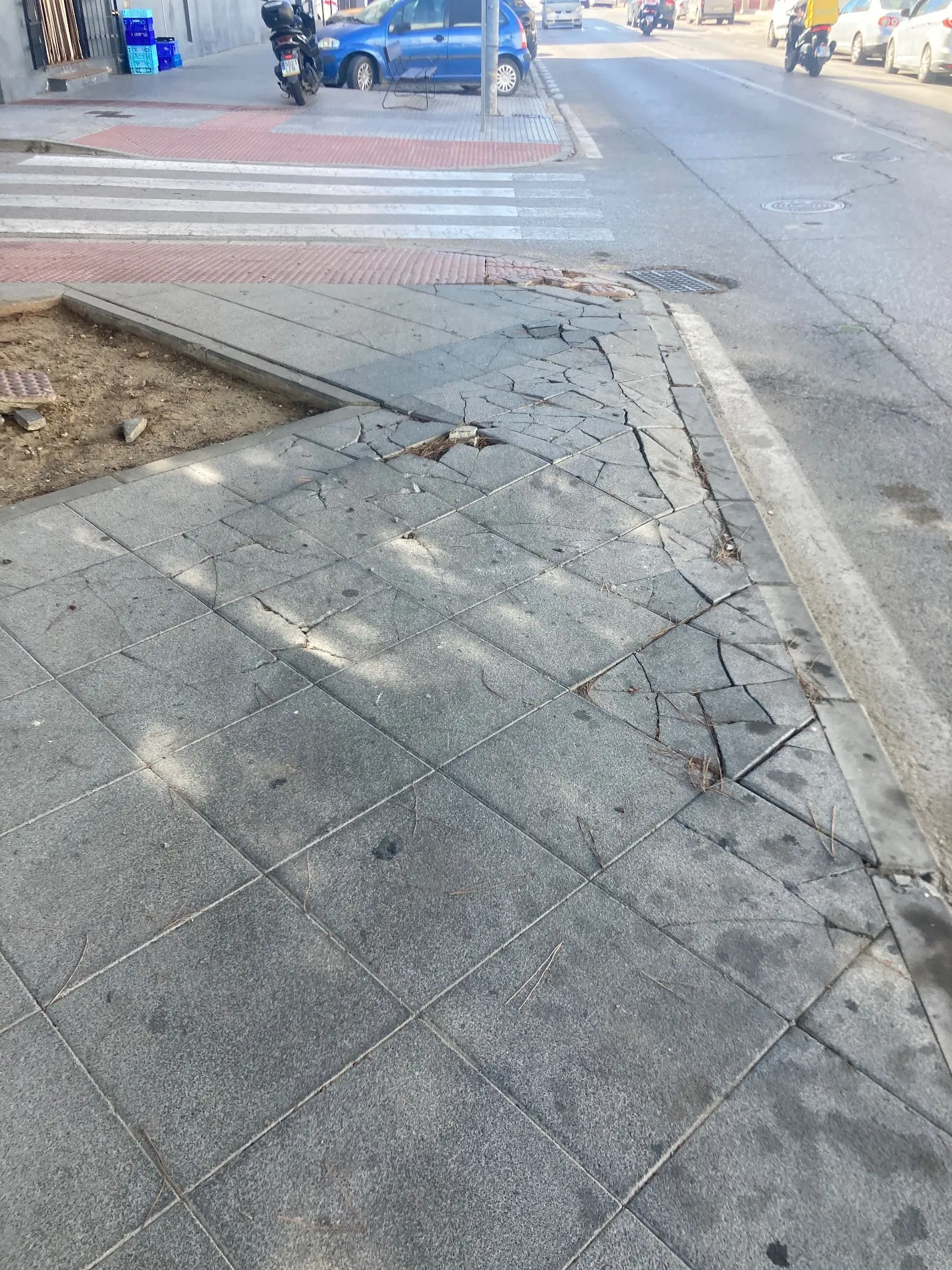 Fotografía de la incidencia: Acerado levantado por raíz de árbol