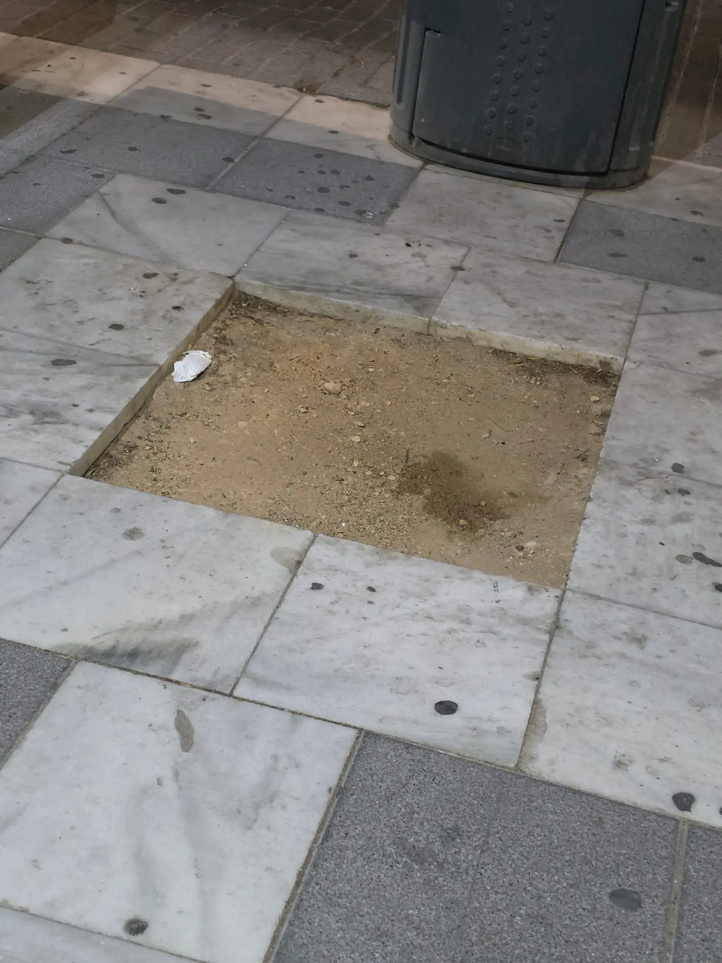Fotografía de la incidencia: Años sin repoblar el arbolado en la acera de la iglesia de San Nicolás