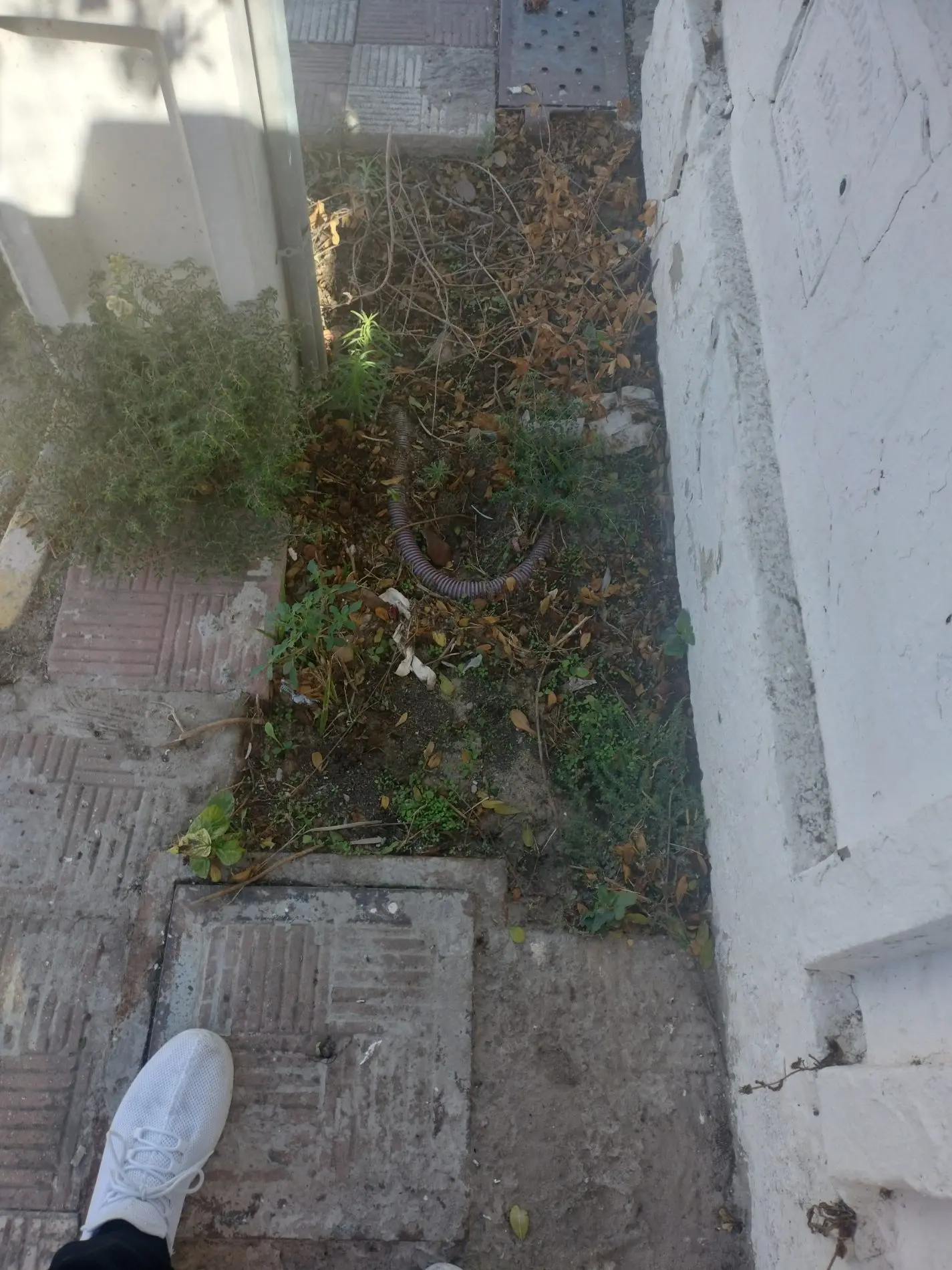 Fotografía de la incidencia: Acerado inisistente. Cables a la vista. Un peligro. BDA España la olvidada. Más de 20 año…