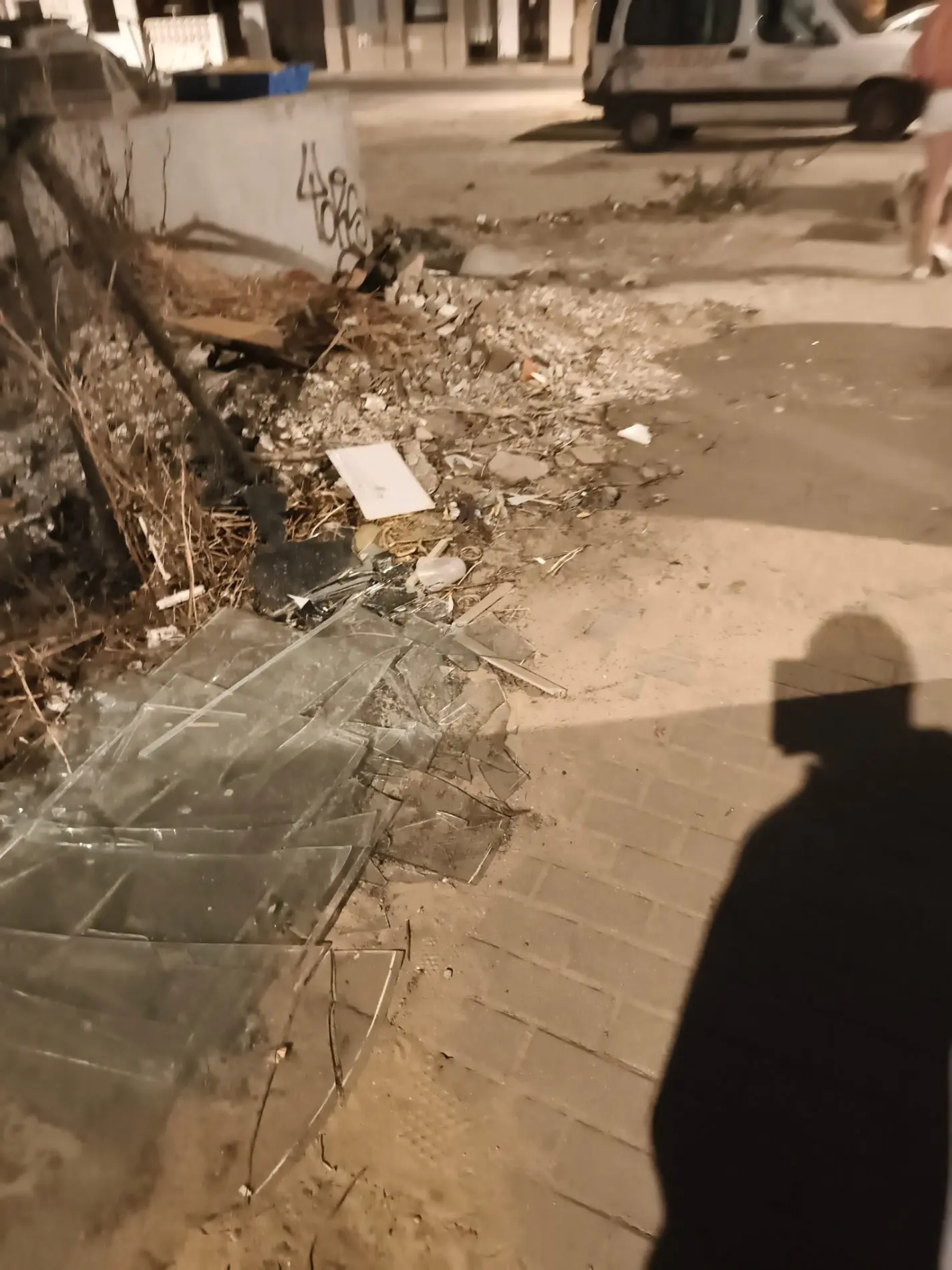 Fotografía de la incidencia: Está todo el acerado destrozado y ocupado por la maleza