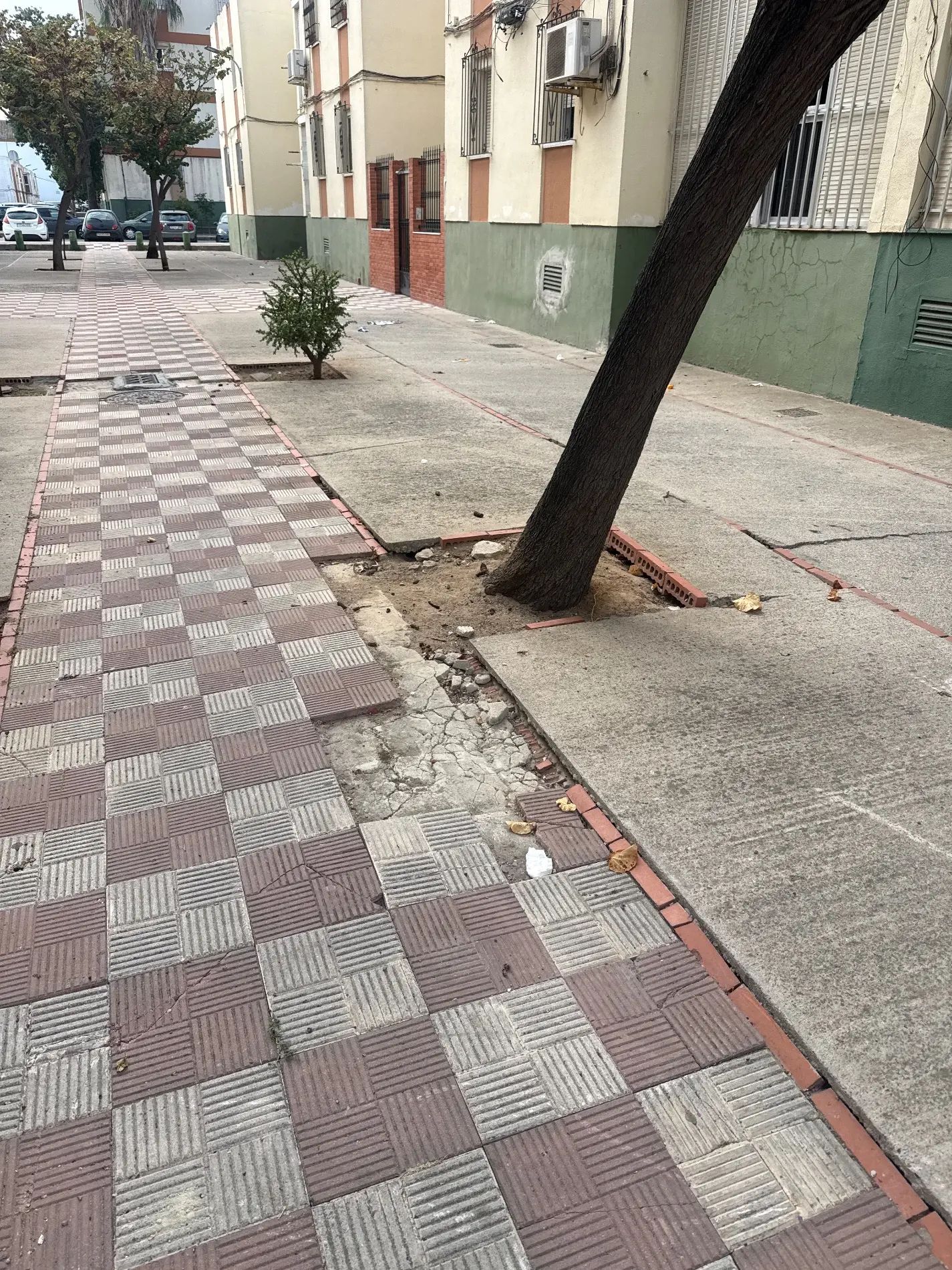 Fotografía de la incidencia: Acerado