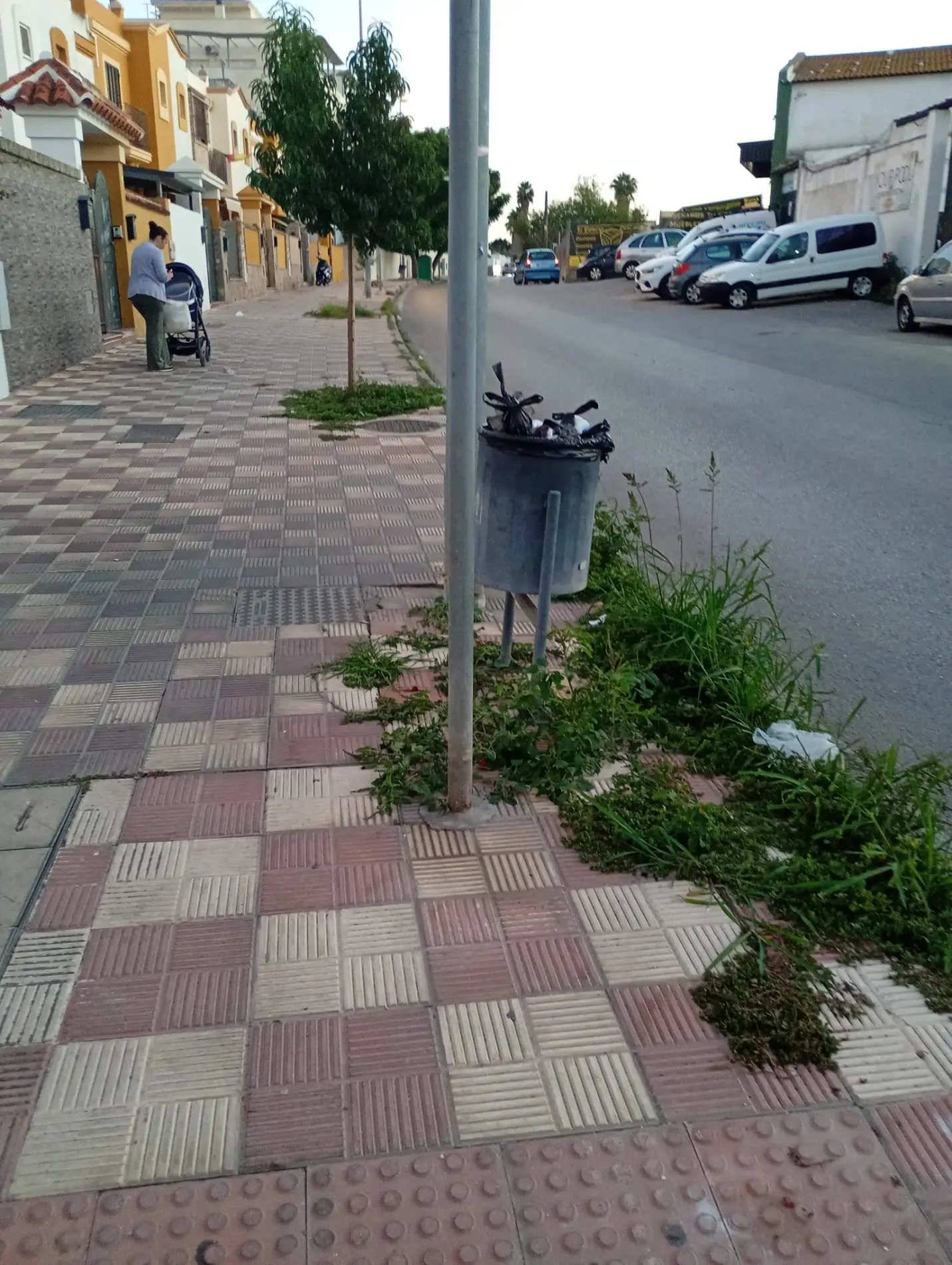 Fotografía de la incidencia: Hierba de 1 metro