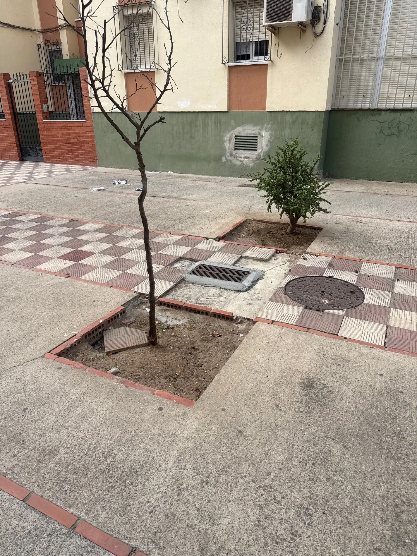 Fotografía de la incidencia: Acerado